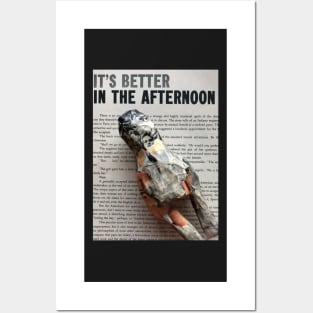 It's Better in the Afternoon Posters and Art